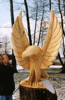 Adler von vorne