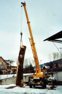 Stellen des Baumstammes