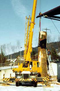 Stellen des Holzstammes