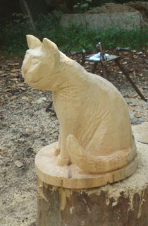Katze