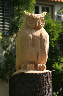 Eule