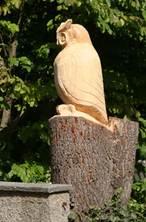 Eule