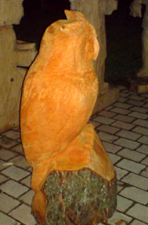 Eule
