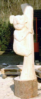 Koalabr
