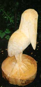 Vogel