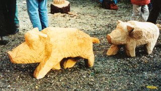 zwei Wildschweine